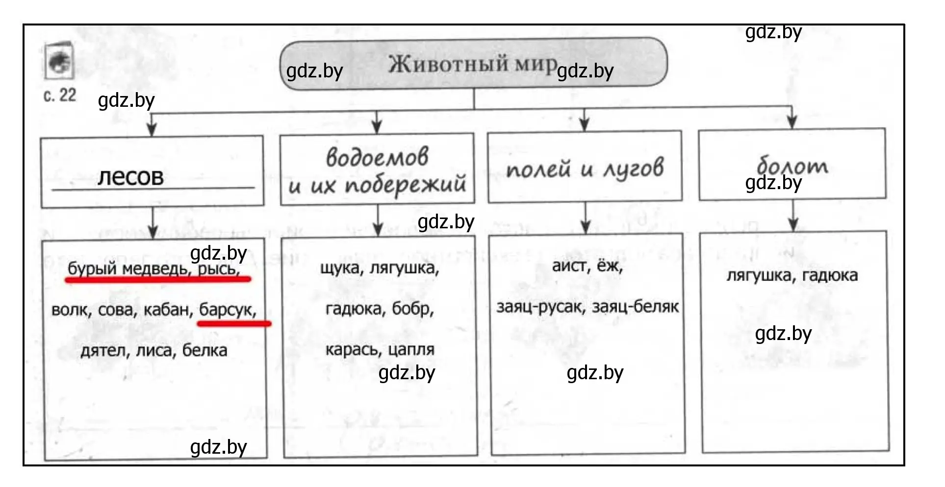 Решение номер 7 (страница 22) гдз по географии 9 класс Кольмакова, Пикулик, тетрадь для практических работ