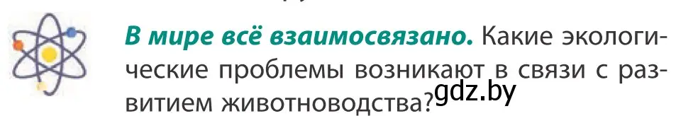 Условие  В мире всё взаимосвязано (страница 127) гдз по географии 10 класс Антипова, Гузова, учебник