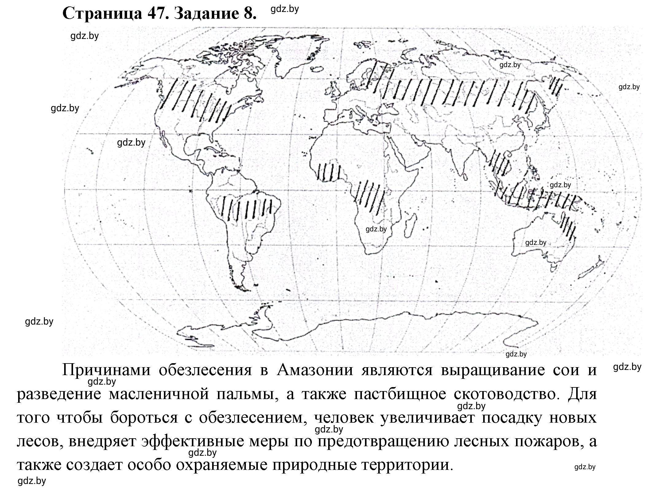 Решение номер 8 (страница 47) гдз по географии 11 класс Кольмакова, Сарычева, тетрадь для практических работ