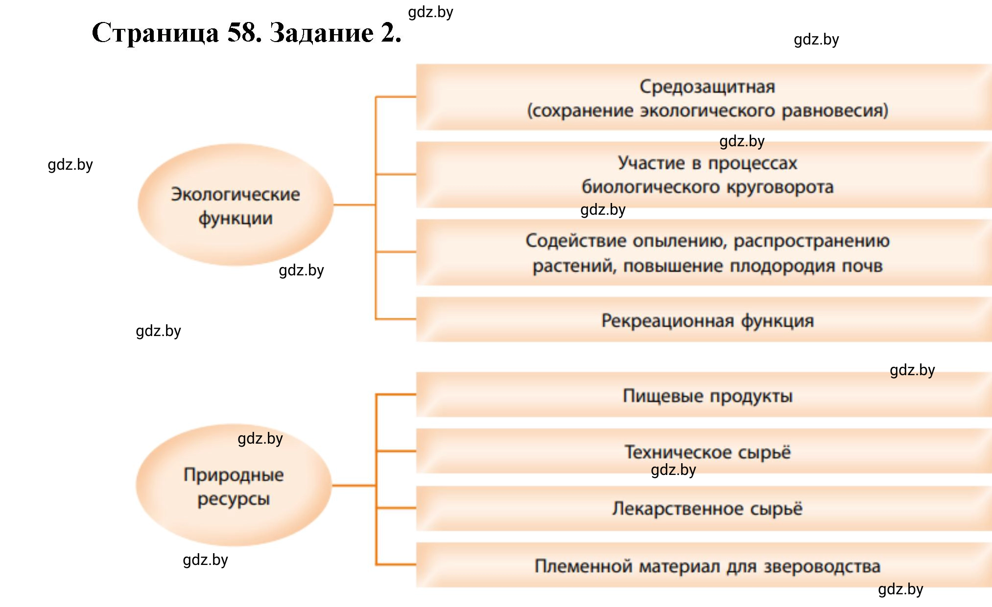 Решение номер 2 (страница 58) гдз по географии 11 класс Кольмакова, Тарасёнок, рабочая тетрадь