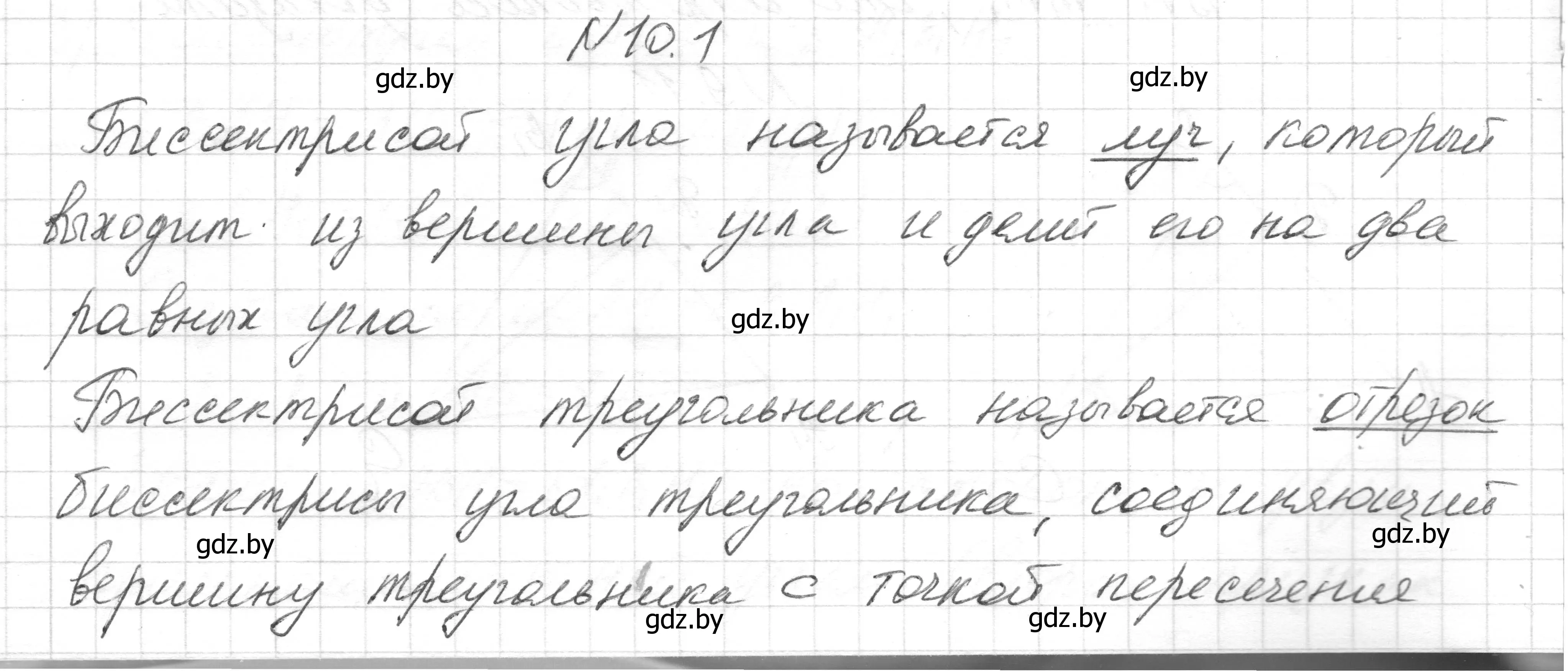 Решение номер 10.1 (страница 23) гдз по геометрии 7-9 класс Кононов, Адамович, сборник задач