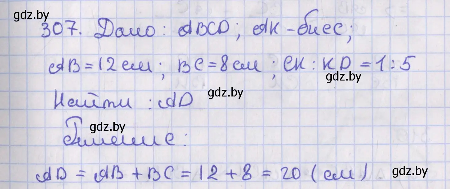 Решение номер 307 (страница 134) гдз по геометрии 8 класс Казаков, учебник