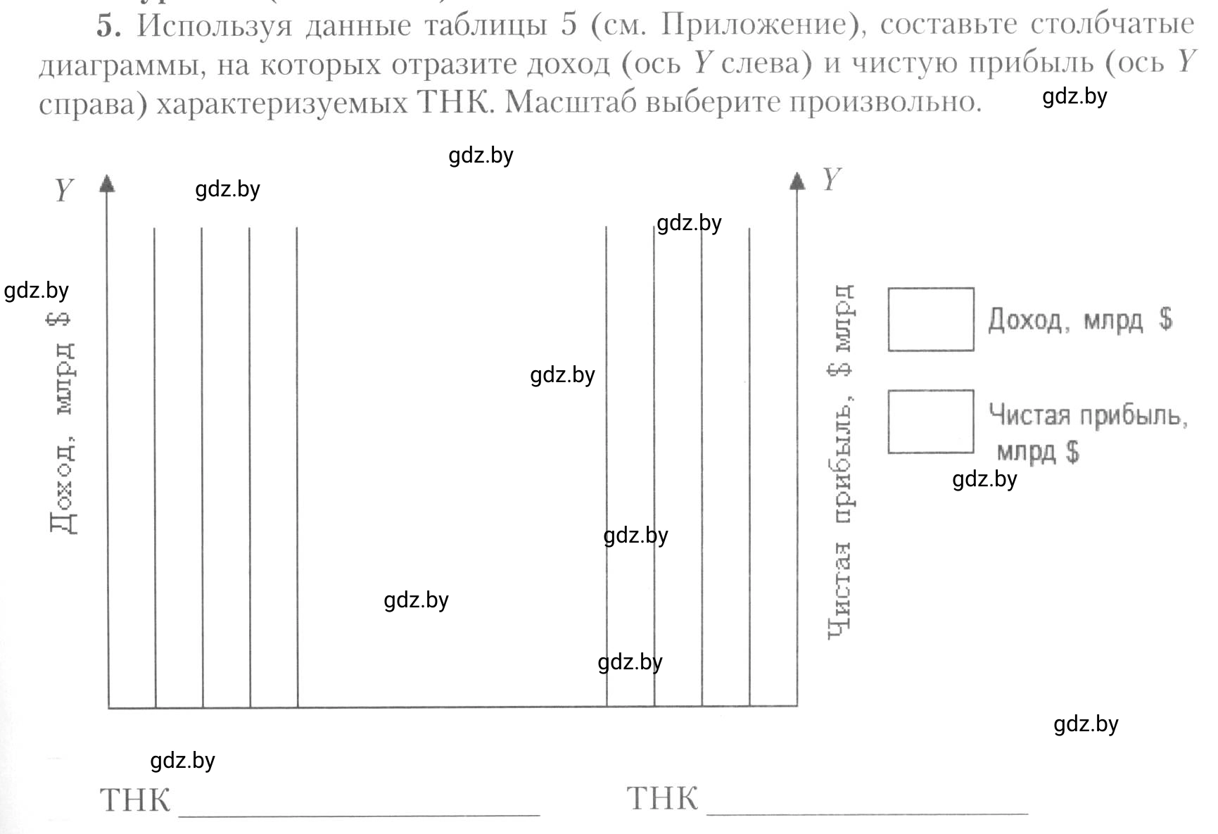 Условие номер 5 (страница 13) гдз по географии 10 класс Метельский, тетрадь для практических работ