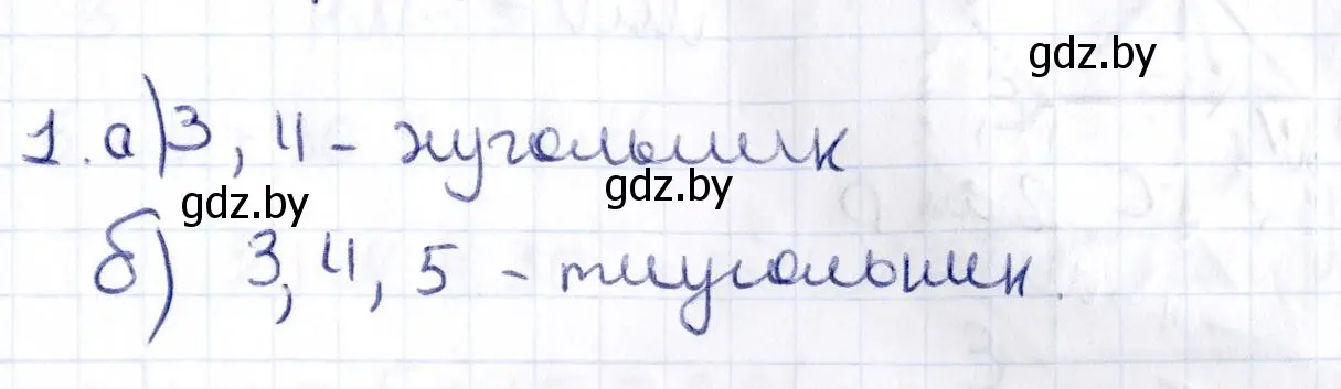 Решение 2.  1 (страница 83) гдз по геометрии 10 класс Латотин, Чеботаревский, учебник