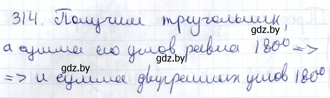 Решение 2. номер 314 (страница 127) гдз по геометрии 10 класс Латотин, Чеботаревский, учебник