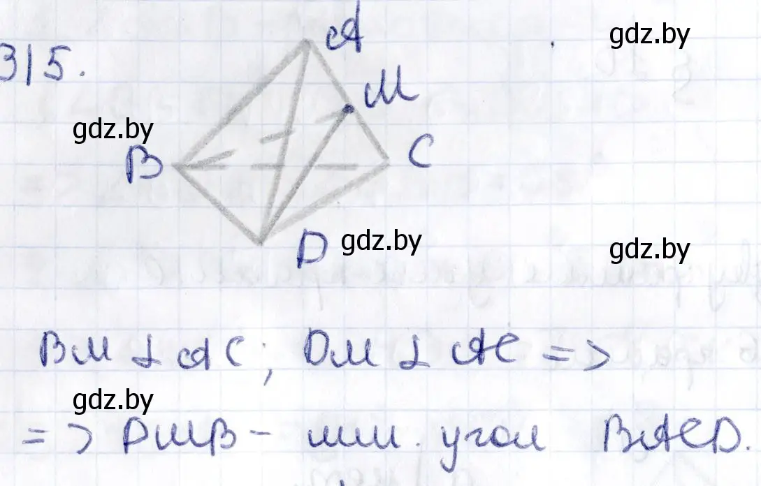 Решение 2. номер 315 (страница 128) гдз по геометрии 10 класс Латотин, Чеботаревский, учебник