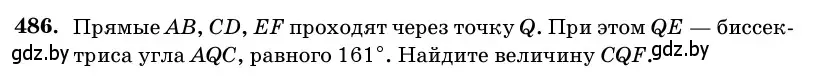 Условие номер 486 (страница 169) гдз по геометрии 11 класс Латотин, Чеботаревский, учебник