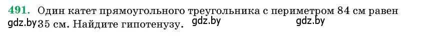 Условие номер 491 (страница 170) гдз по геометрии 11 класс Латотин, Чеботаревский, учебник