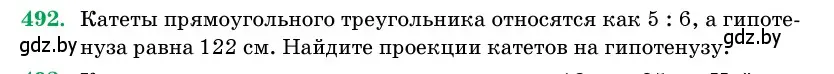 Условие номер 492 (страница 170) гдз по геометрии 11 класс Латотин, Чеботаревский, учебник