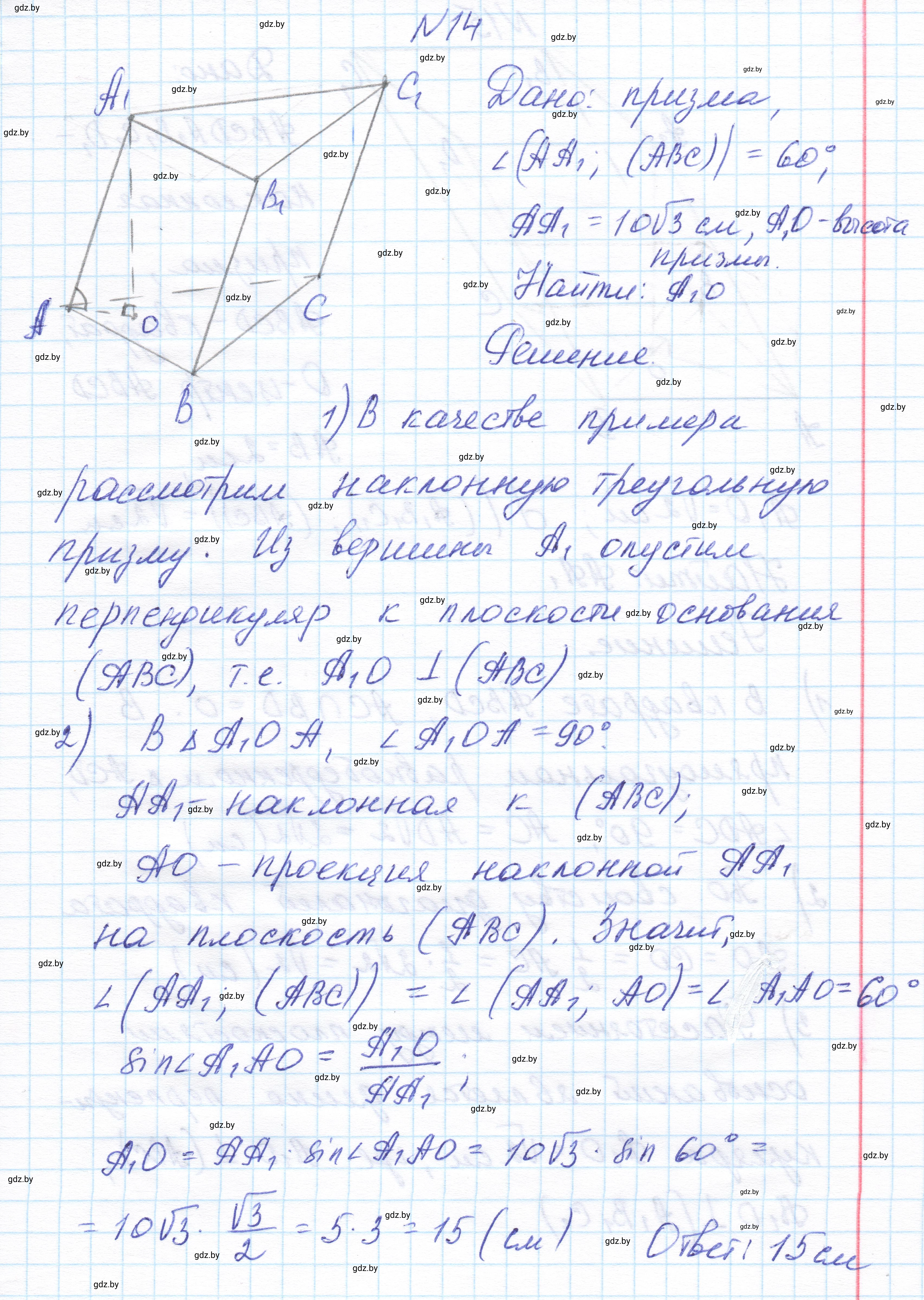 Решение номер 14 (страница 16) гдз по геометрии 11 класс Латотин, Чеботаревский, учебник