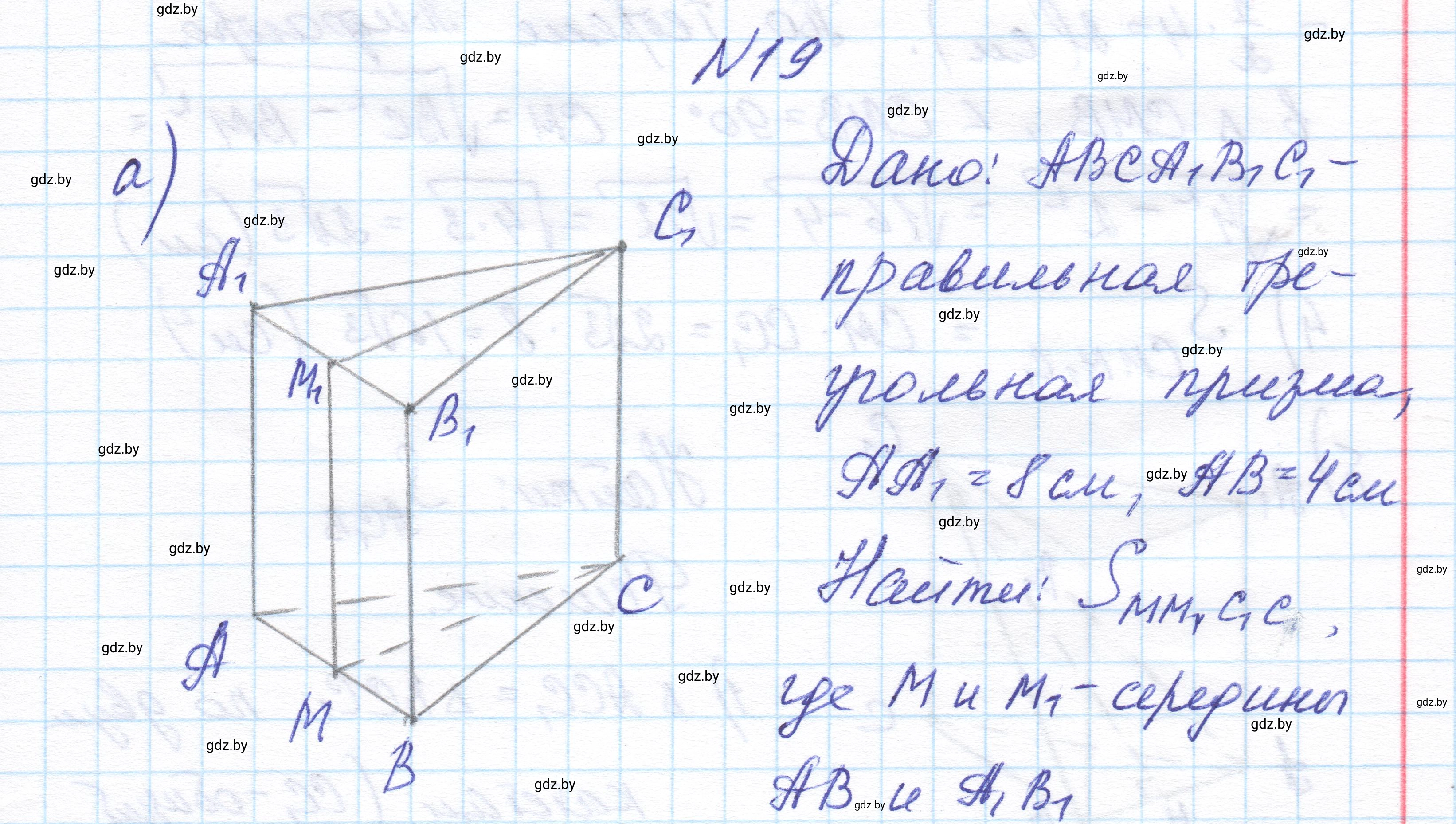 Решение номер 19 (страница 16) гдз по геометрии 11 класс Латотин, Чеботаревский, учебник