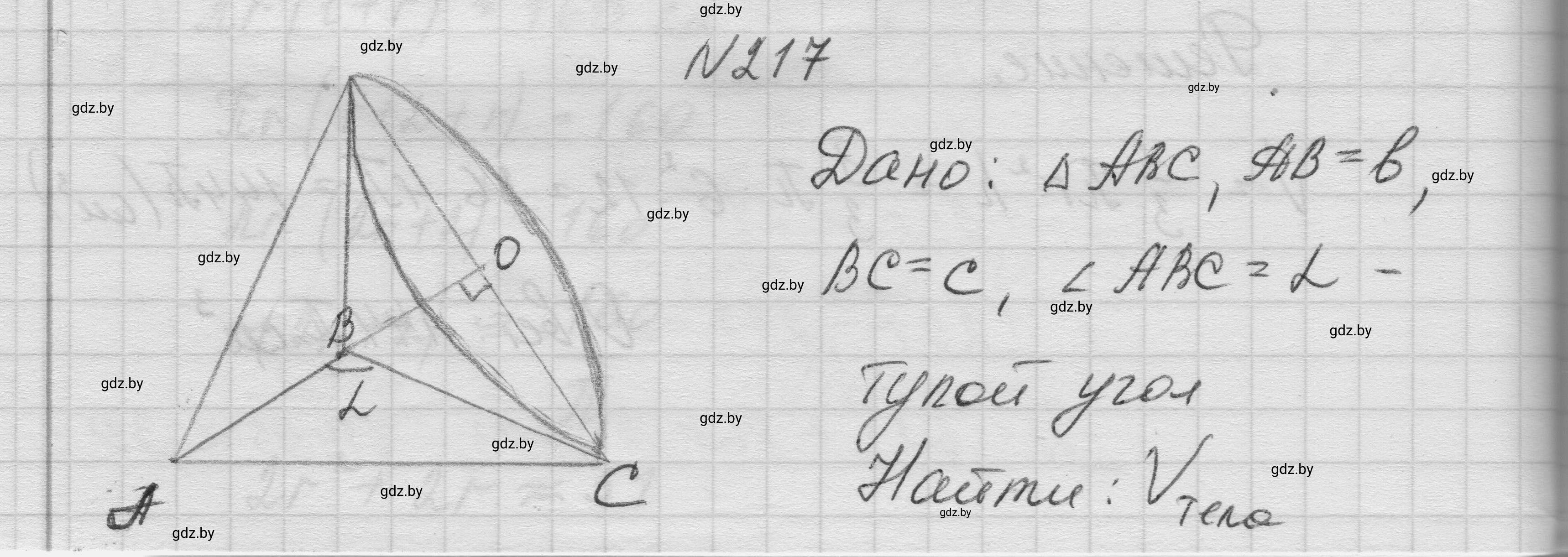 Решение номер 217 (страница 72) гдз по геометрии 11 класс Латотин, Чеботаревский, учебник