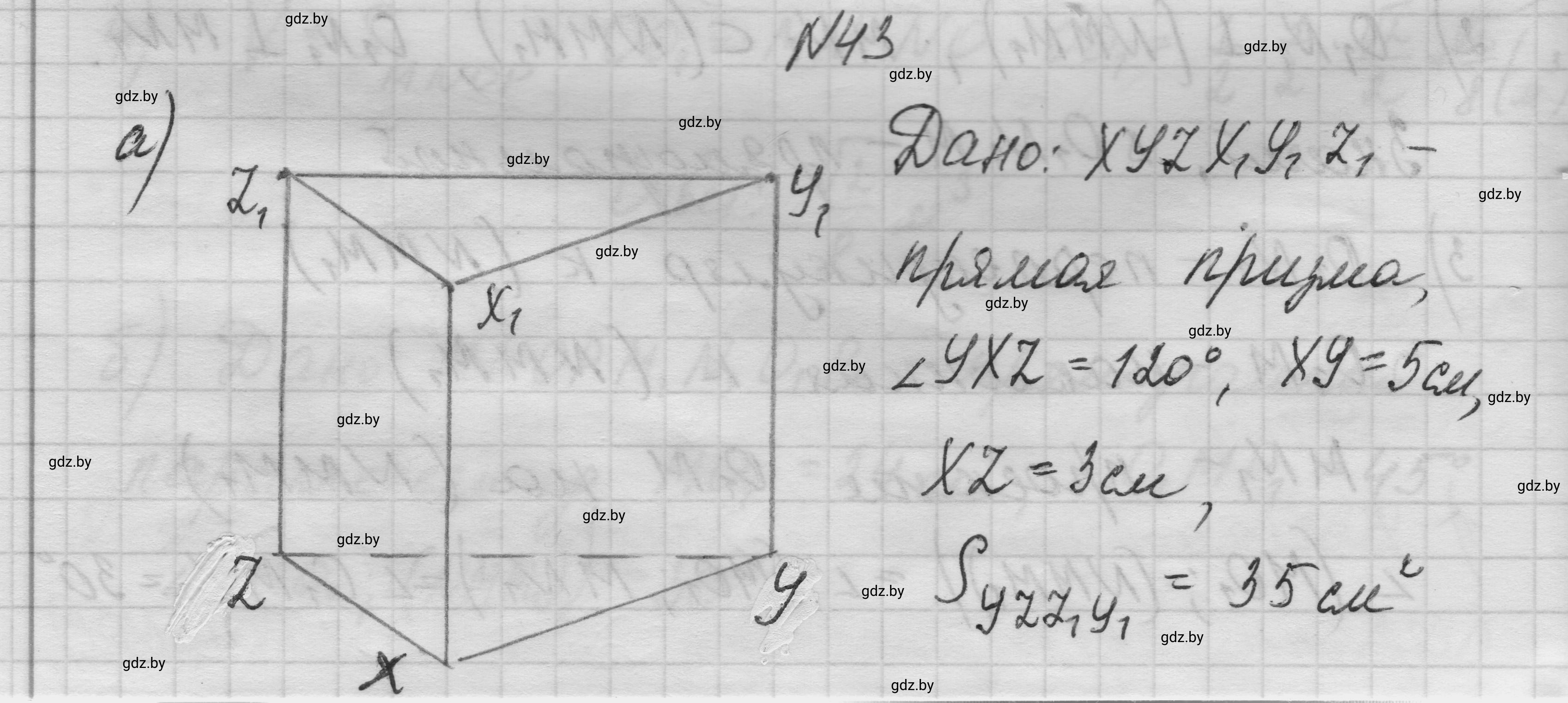 Решение номер 43 (страница 19) гдз по геометрии 11 класс Латотин, Чеботаревский, учебник