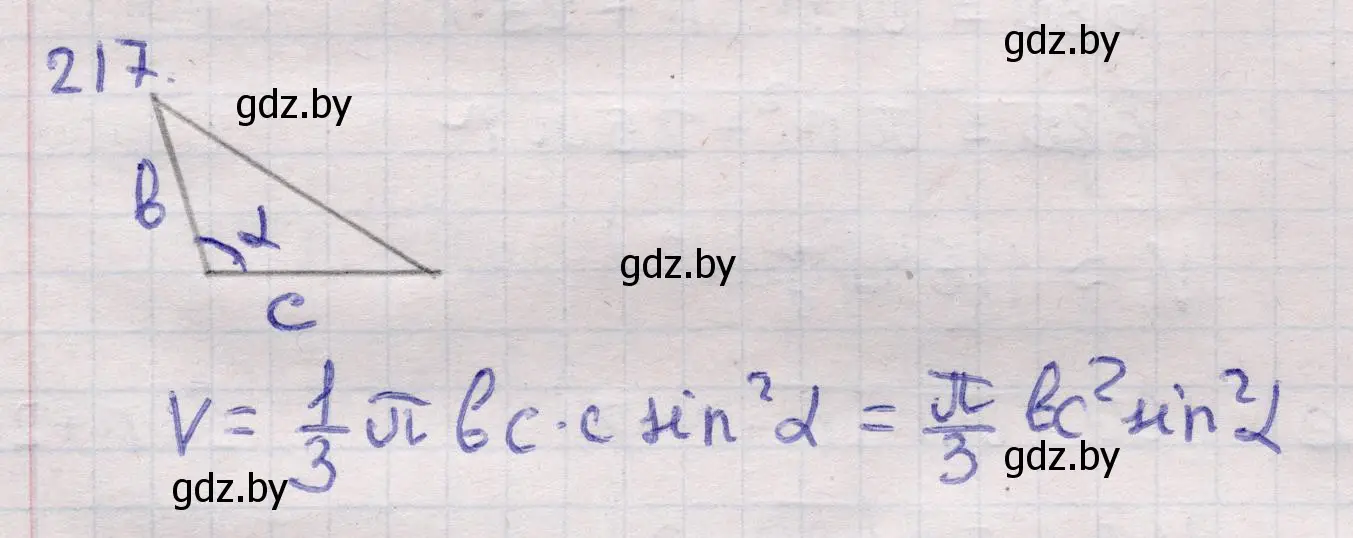 Решение 2. номер 217 (страница 72) гдз по геометрии 11 класс Латотин, Чеботаревский, учебник