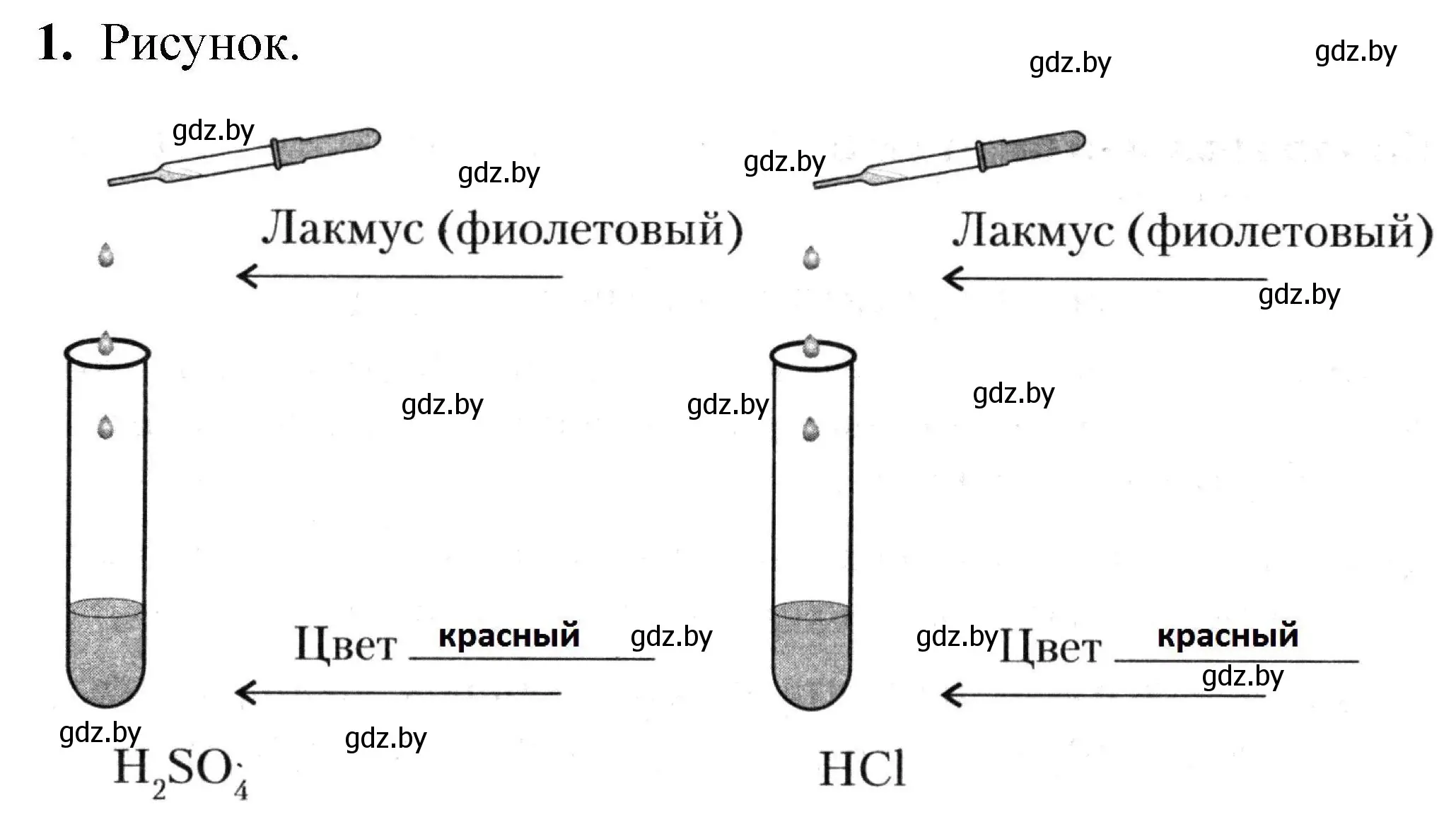 Решение номер 1 (страница 31) гдз по химии 7 класс Сечко, тетрадь для практических работ