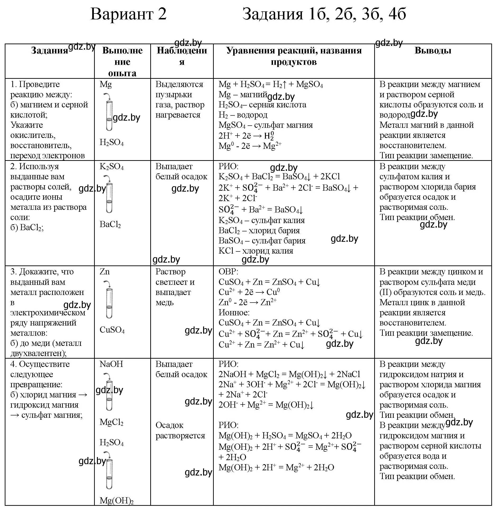 Решение номер Вариант 2 (страница 21) гдз по химии 9 класс Борушко, тетрадь для практических работ