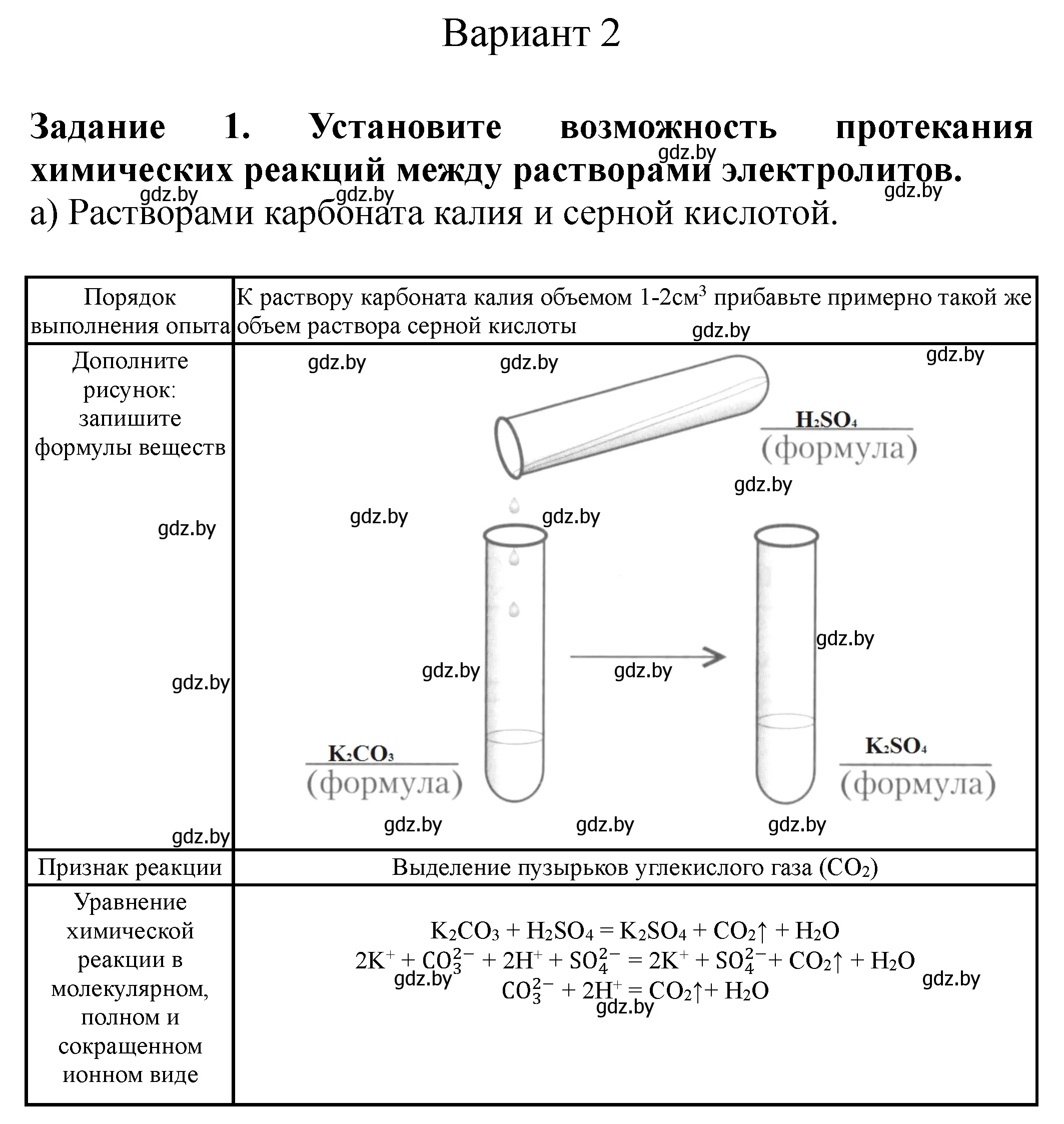 Решение номер вариант 2 (страница 10) гдз по химии 9 класс Сечко, тетрадь для практических работ