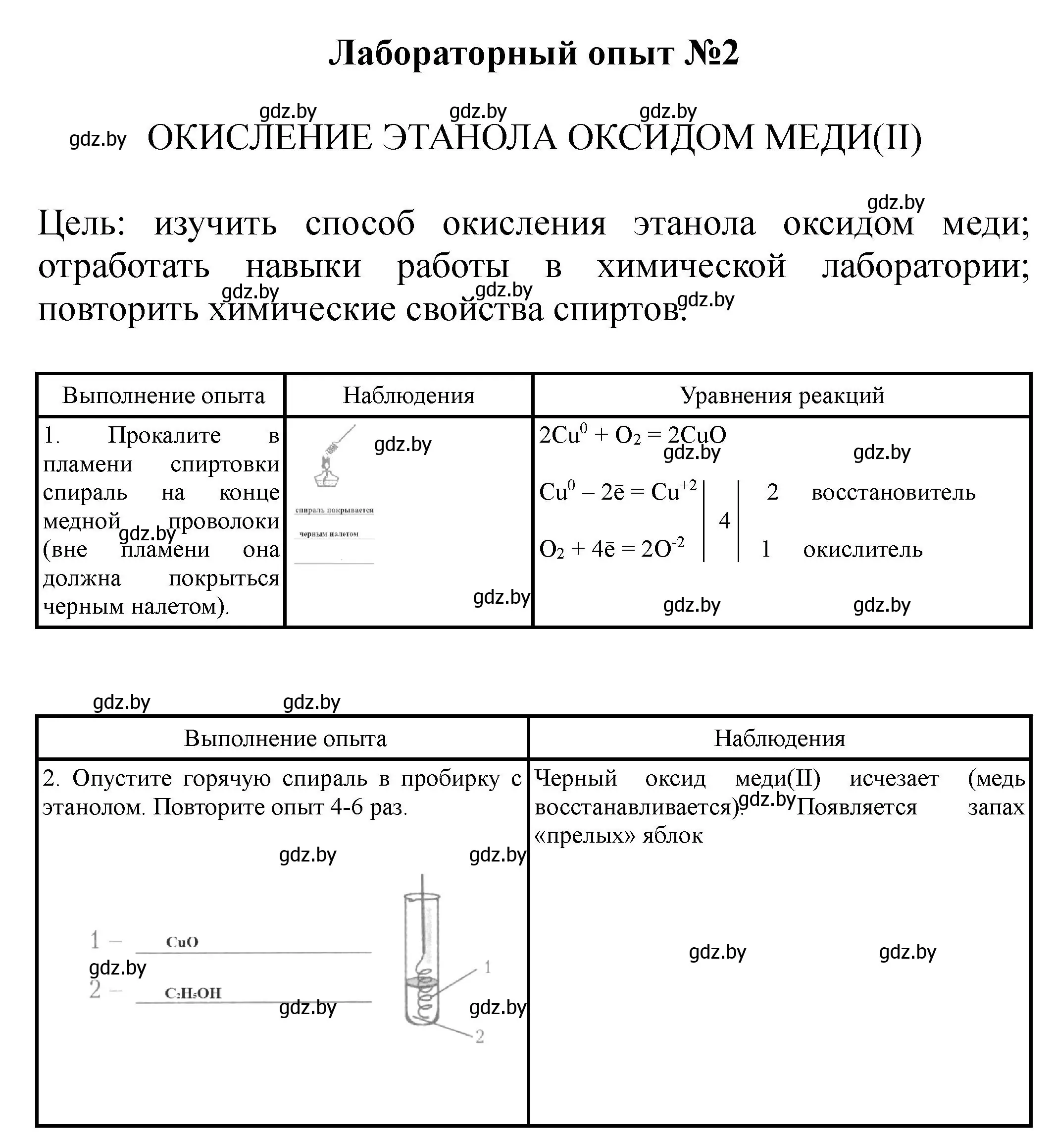 Решение  Лабораторный опыт 2 (страница 3) гдз по химии 10 класс Борушко, тетрадь для практических работ