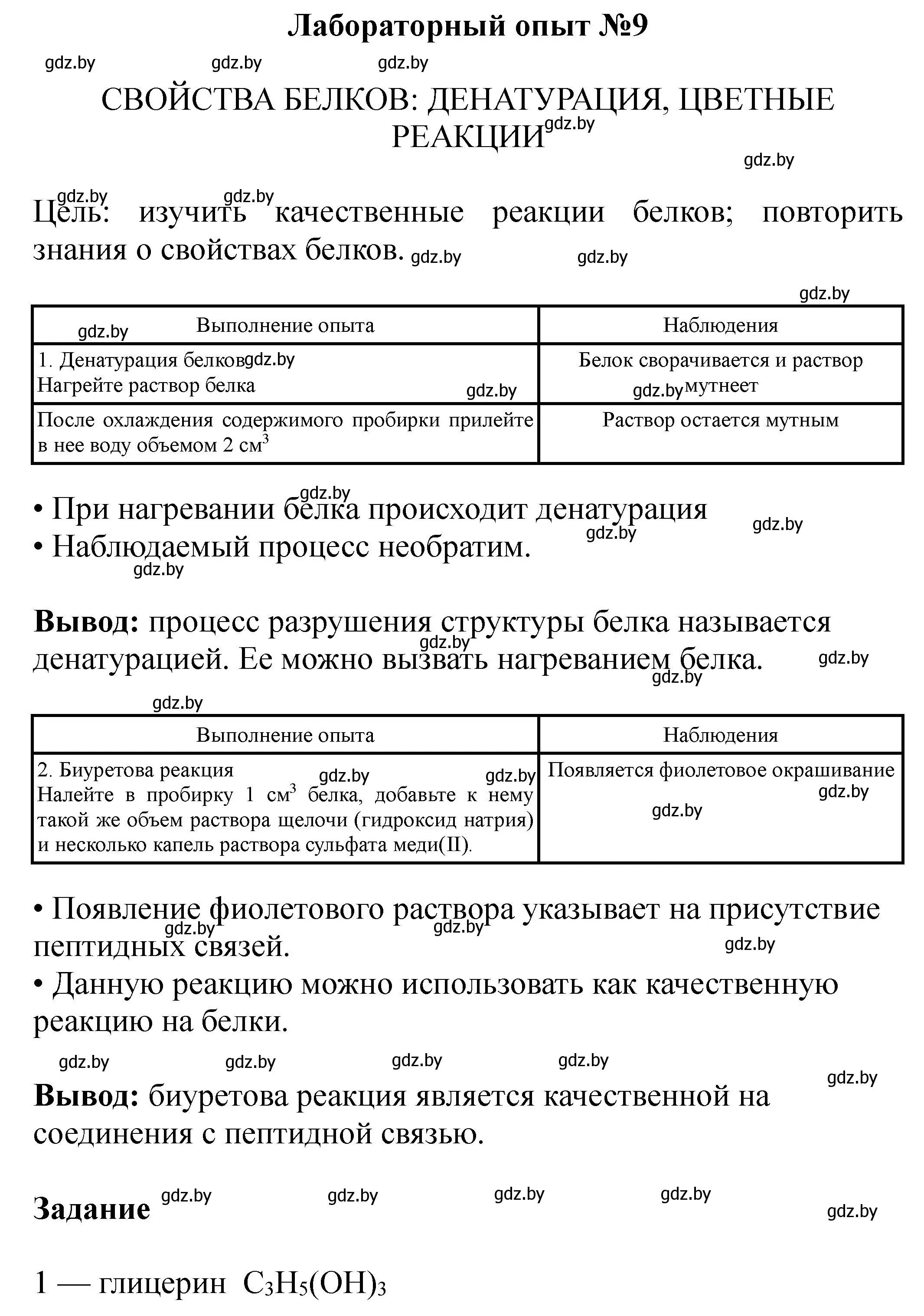 Решение  Лабораторный опыт 9 (страница 16) гдз по химии 10 класс Борушко, тетрадь для практических работ