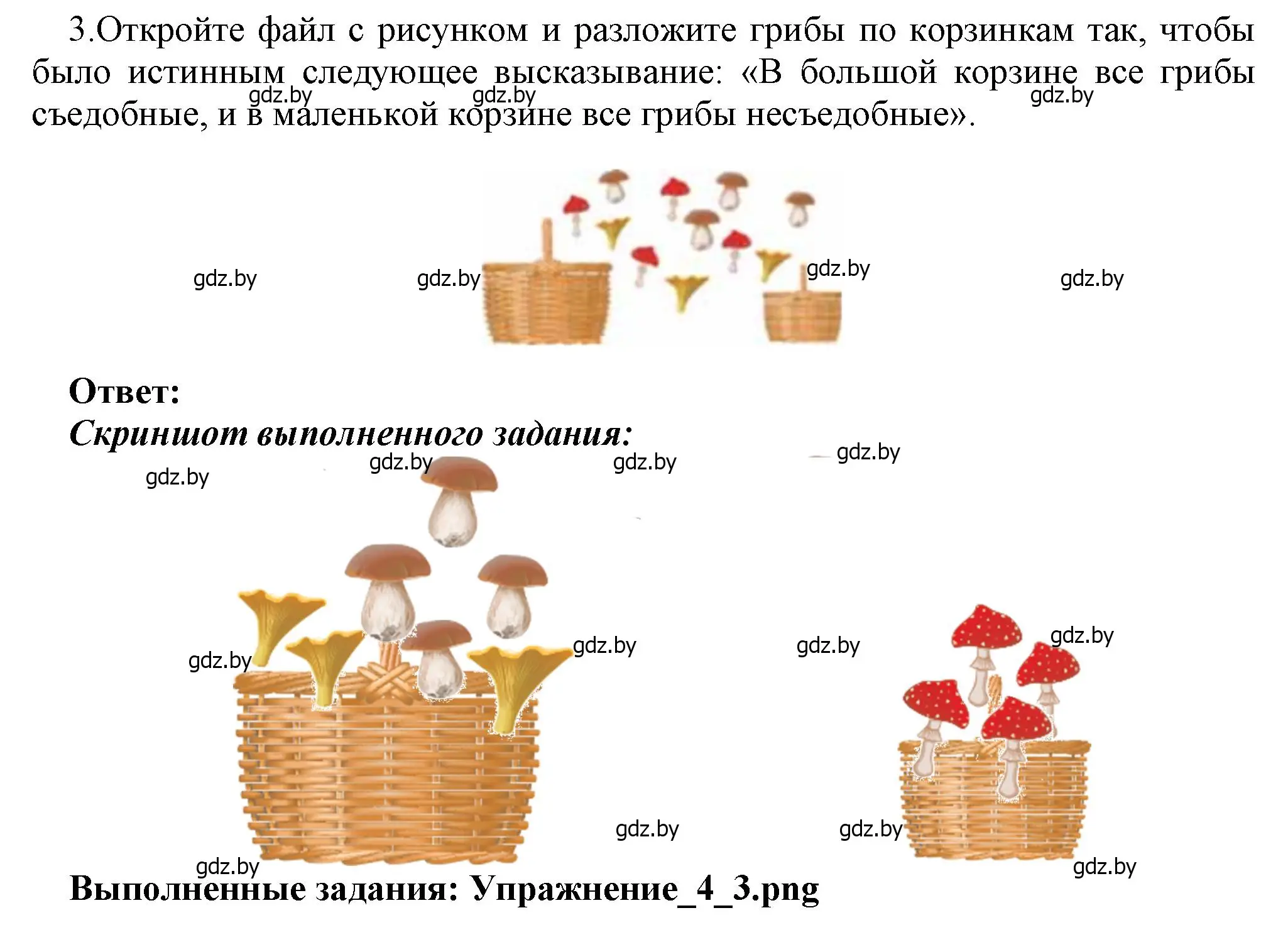 Решение номер 3 (страница 30) гдз по информатике 7 класс Котов, Лапо, учебник