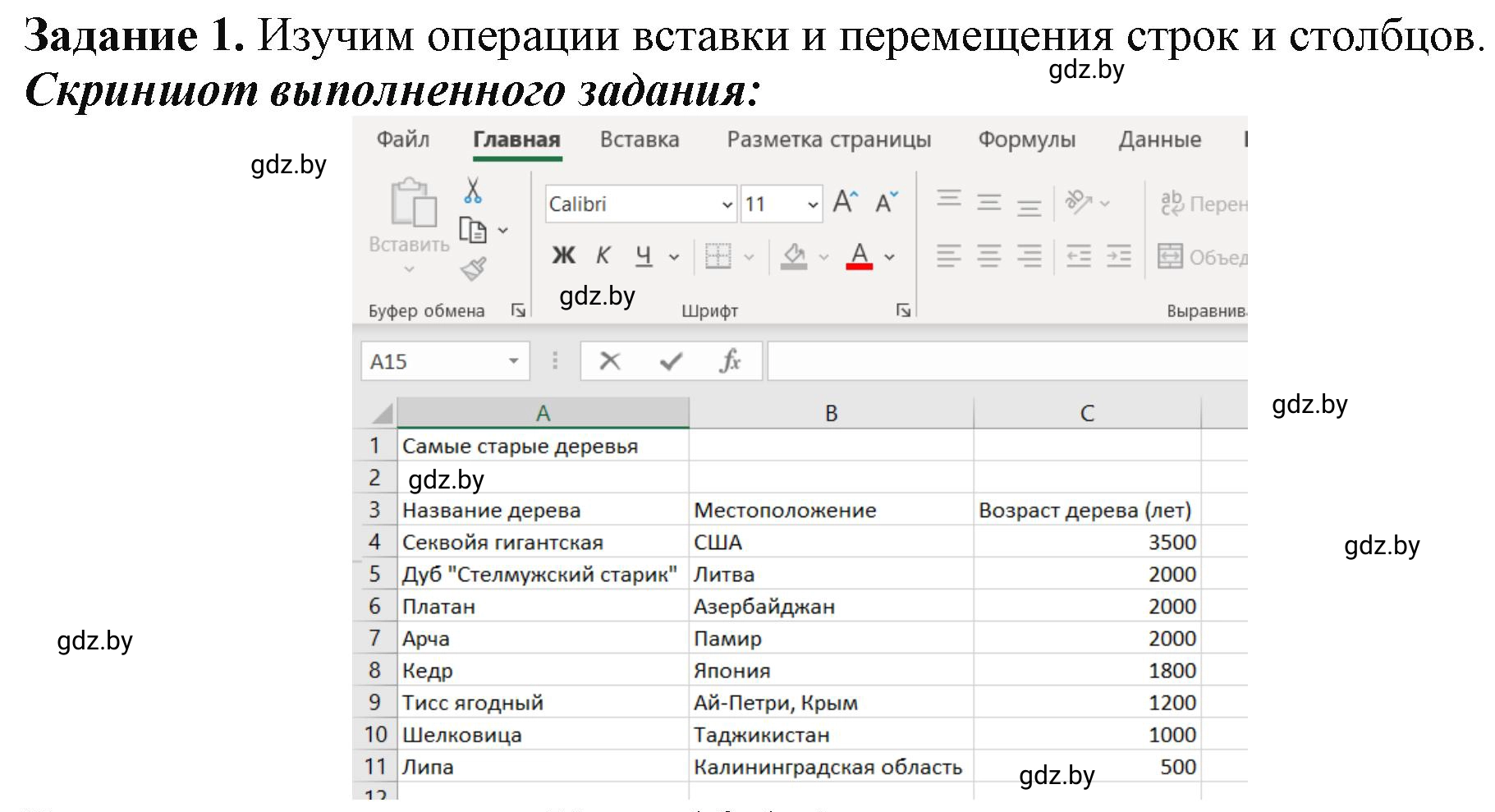 Решение номер 1 (страница 59) гдз по информатике 9 класс Овчинникова, рабочая тетрадь