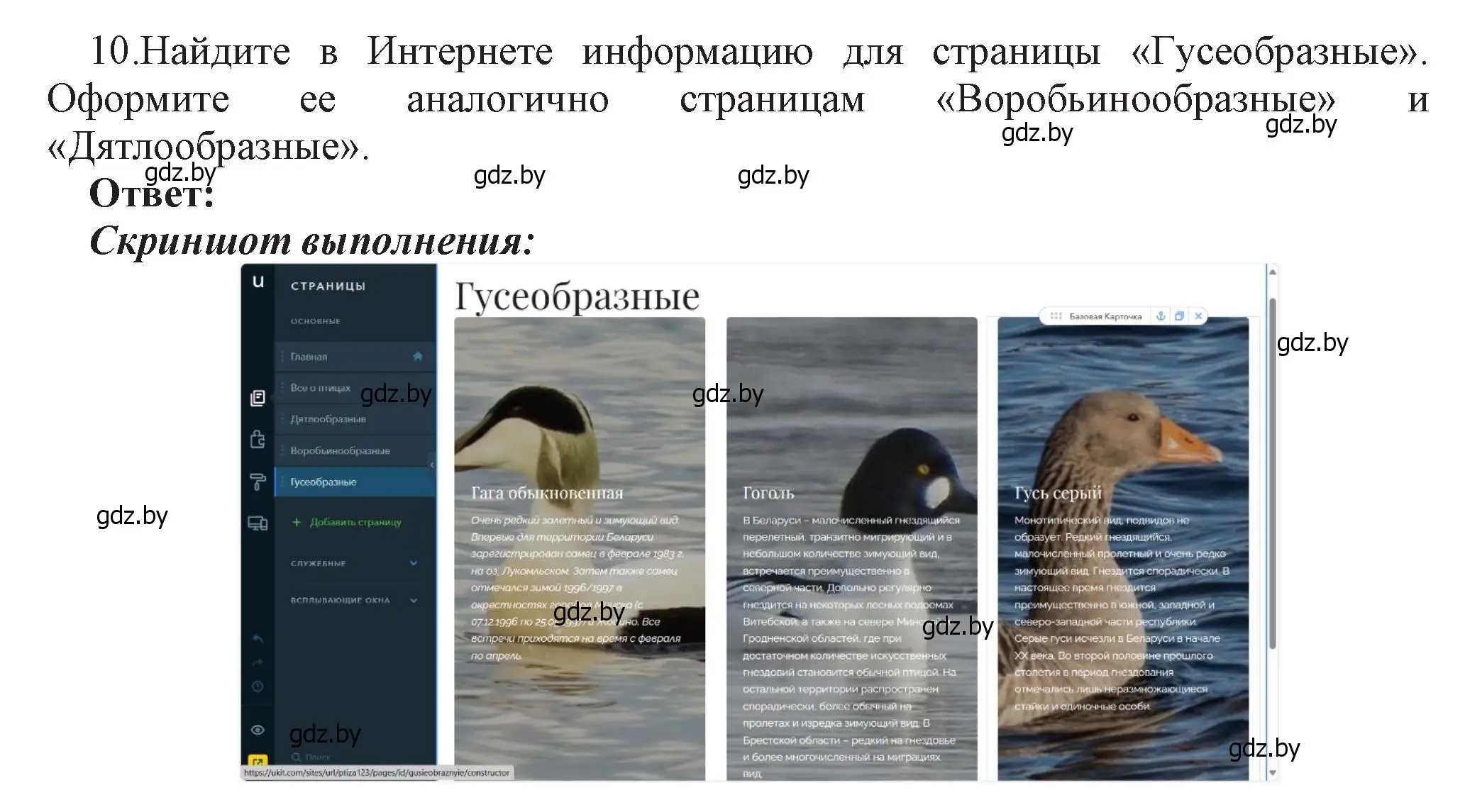 Решение номер 10 (страница 75) гдз по информатике 11 класс Котов, Лапо, учебник