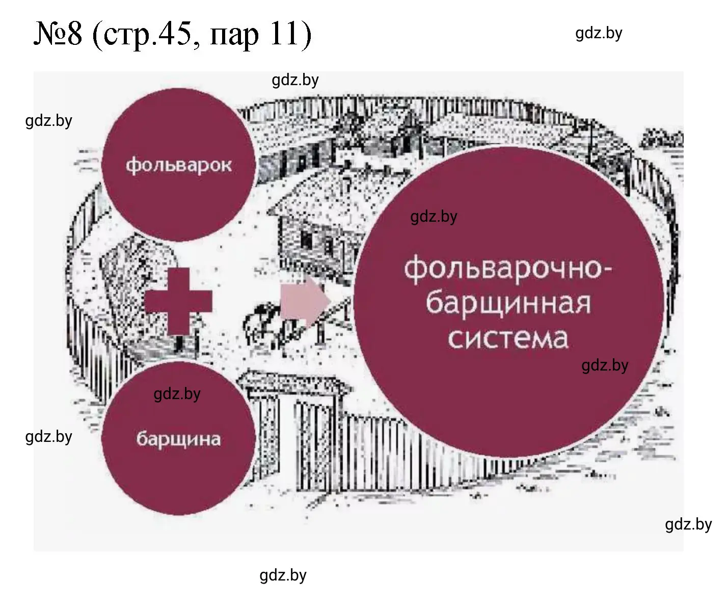 Решение номер 8 (страница 45) гдз по истории Беларуси 7 класс Панов, Ганущенко, рабочая тетрадь