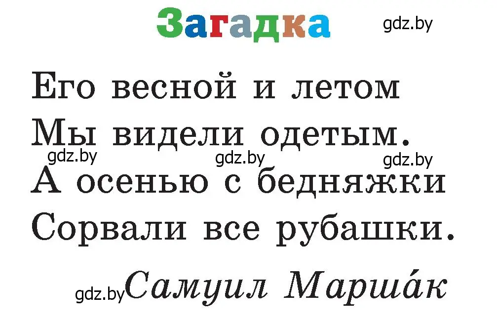 Условие  Загадка (страница 52) гдз по литературе 2 класс Воропаева, Куцанова, учебник 1 часть