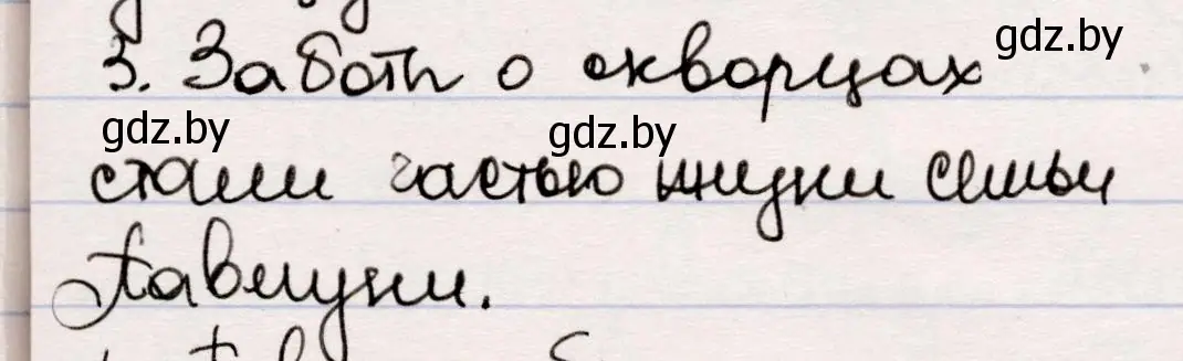 Решение номер 3 (страница 24) гдз по русской литературе 5 класс Мушинская, Перевозная, учебник 2 часть