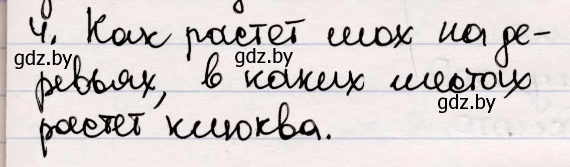 Решение номер 4 (страница 37) гдз по русской литературе 5 класс Мушинская, Перевозная, учебник 2 часть