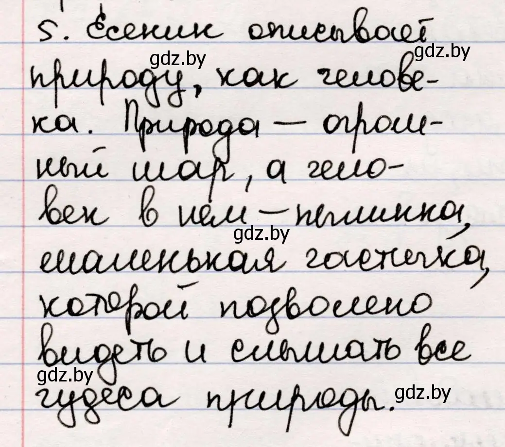 Решение номер 5 (страница 49) гдз по русской литературе 5 класс Мушинская, Перевозная, учебник 2 часть