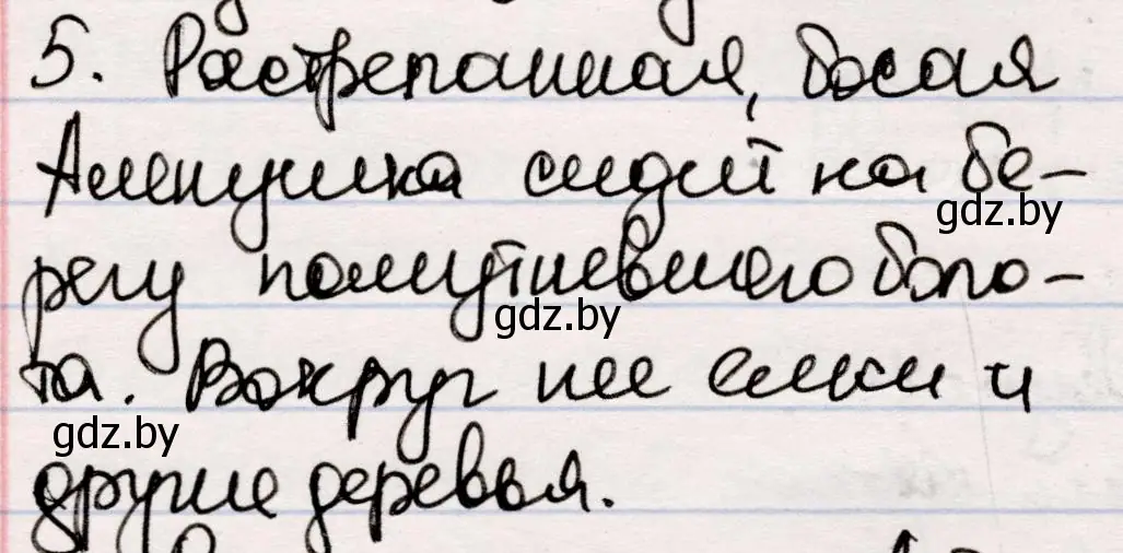 Решение номер 5 (страница 54) гдз по русской литературе 5 класс Мушинская, Перевозная, учебник 2 часть