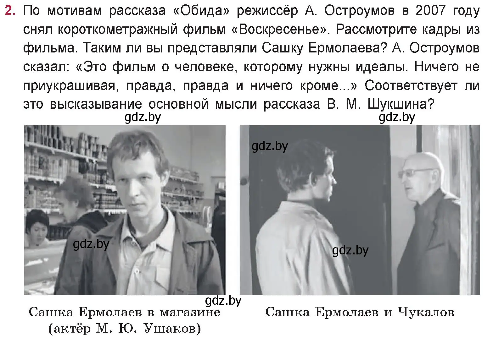 Условие номер 2 (страница 284) гдз по русской литературе 9 класс Захарова, Черкес, учебник