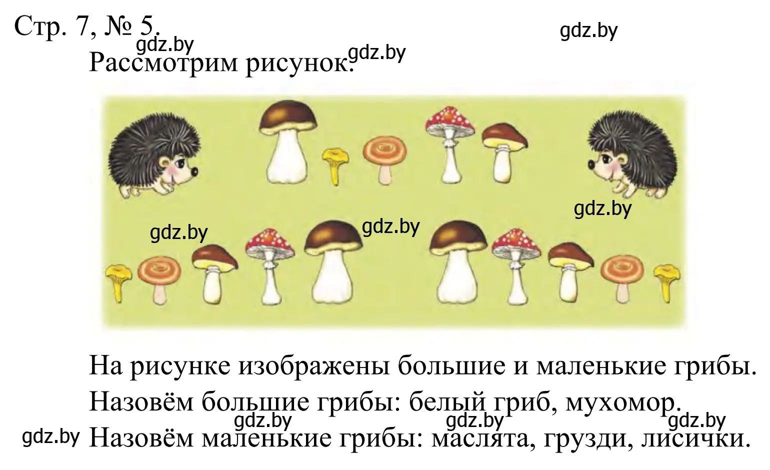 Решение номер 5 (страница 7) гдз по математике 1 класс Муравьева, Урбан, учебник 1 часть