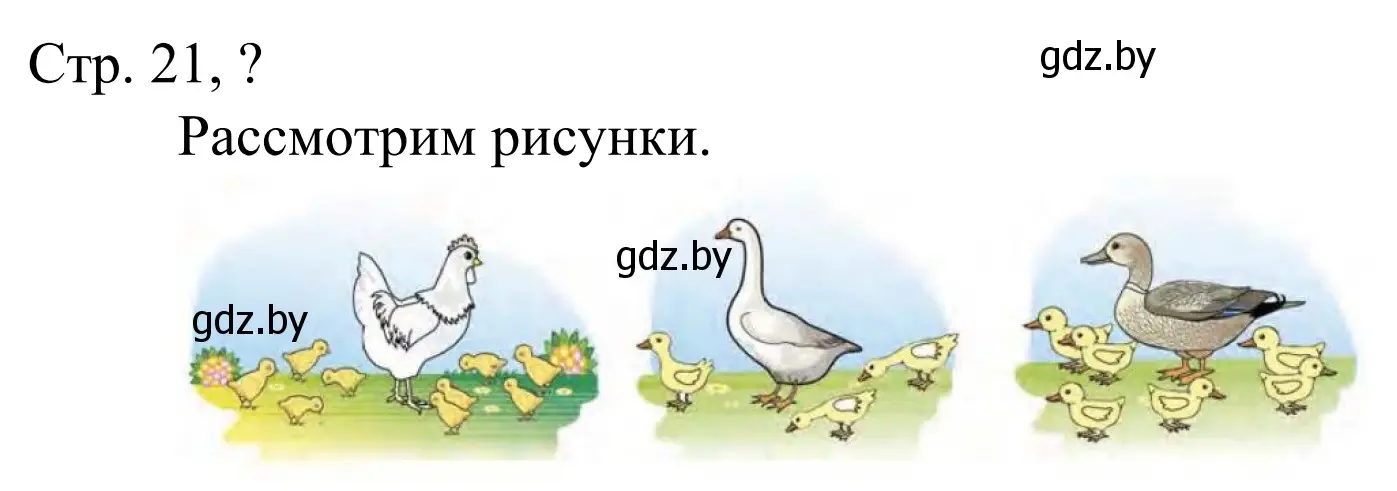 Решение  Ответь на вопрос (страница 21) гдз по математике 1 класс Муравьева, Урбан, учебник 1 часть