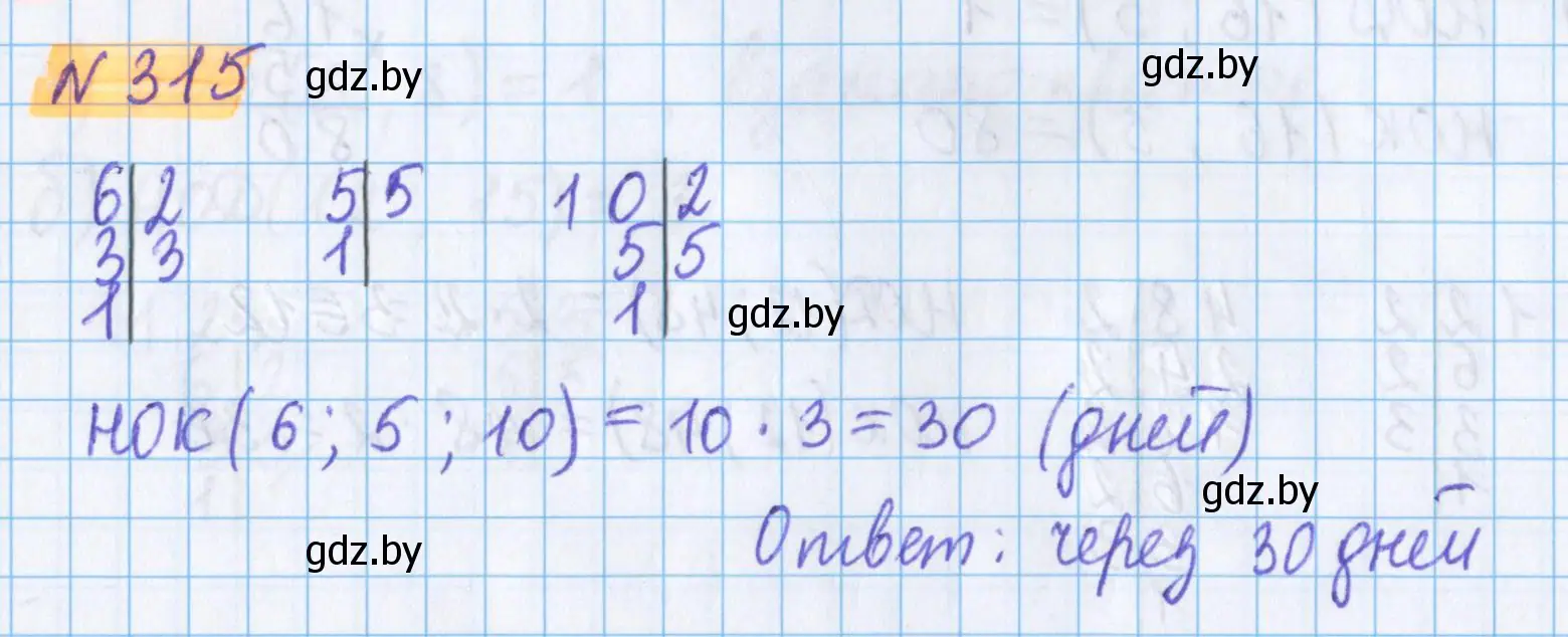Решение 2. номер 315 (страница 112) гдз по математике 5 класс Герасимов, Пирютко, учебник 1 часть