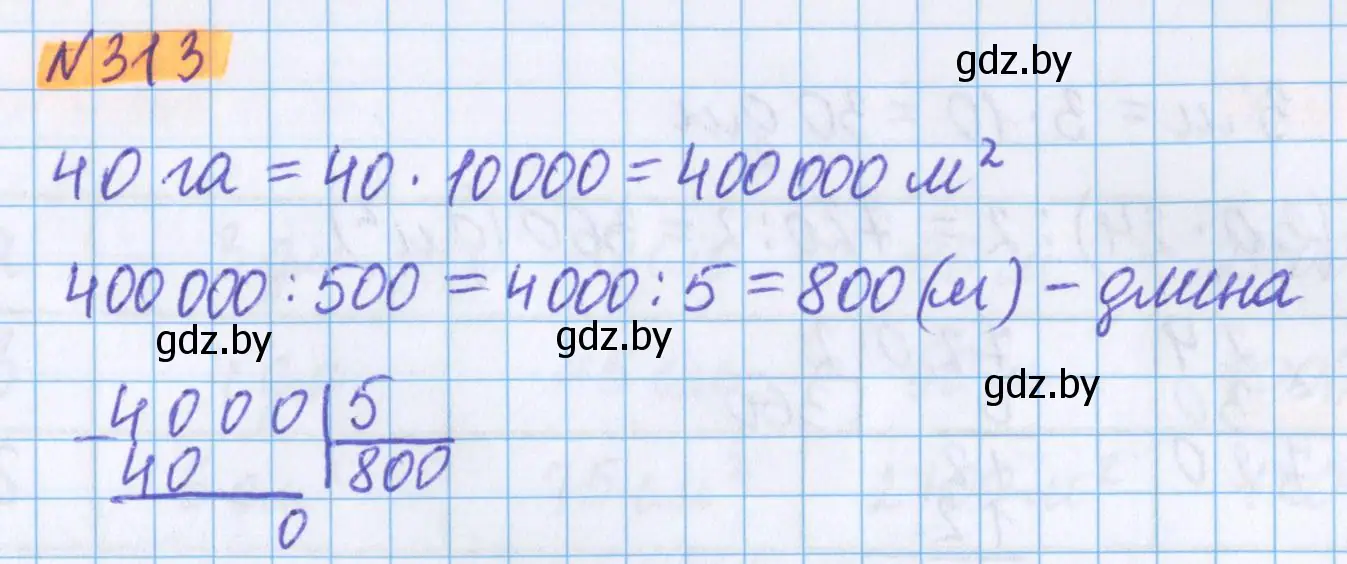 Решение 2. номер 313 (страница 112) гдз по математике 5 класс Герасимов, Пирютко, учебник 2 часть