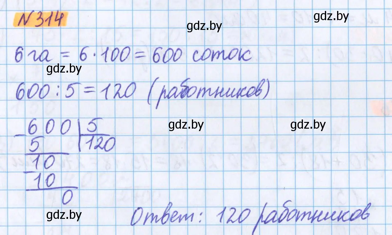 Решение 2. номер 314 (страница 112) гдз по математике 5 класс Герасимов, Пирютко, учебник 2 часть