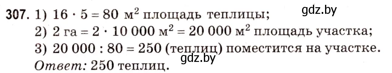 Решение 3. номер 307 (страница 111) гдз по математике 5 класс Герасимов, Пирютко, учебник 2 часть