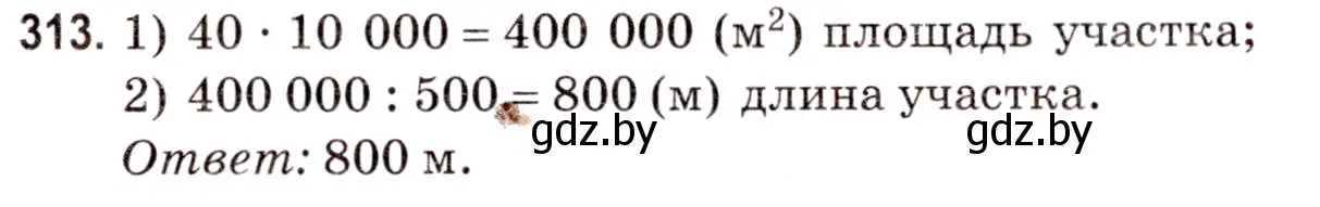 Решение 3. номер 313 (страница 112) гдз по математике 5 класс Герасимов, Пирютко, учебник 2 часть