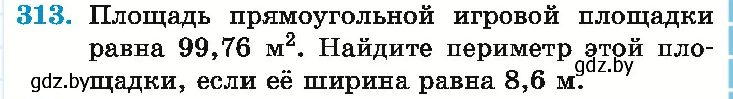 Условие номер 313 (страница 63) гдз по математике 6 класс Герасимов, Пирютко, учебник