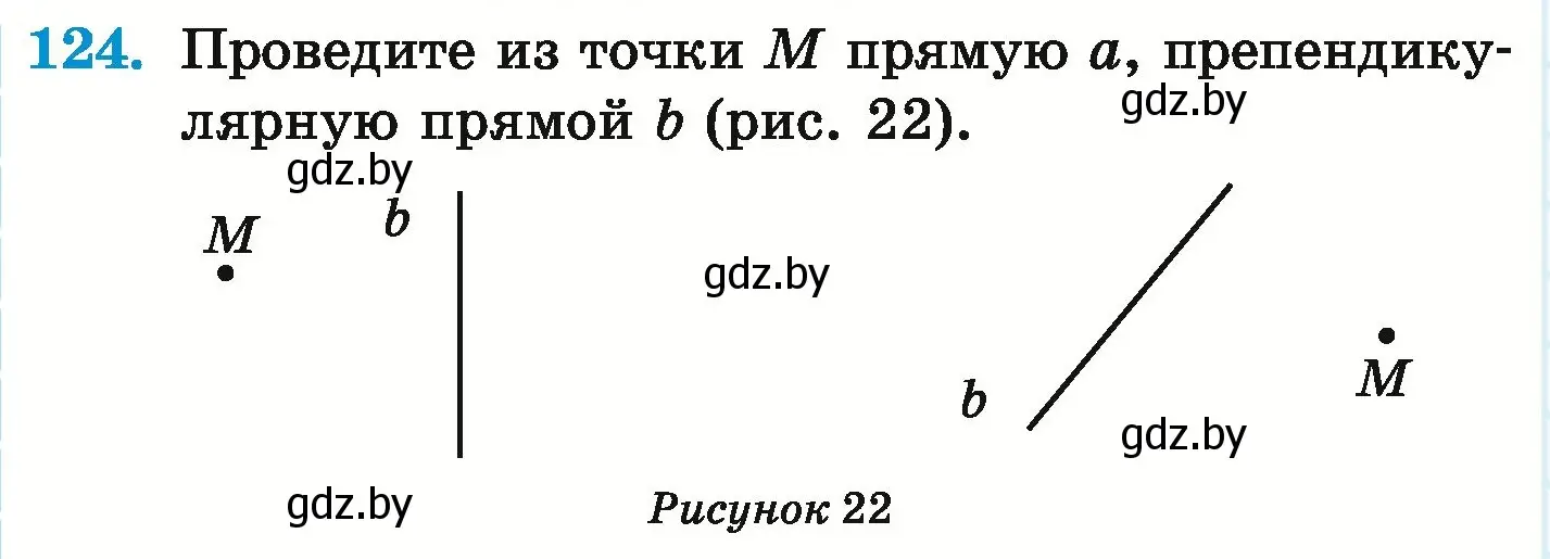 Условие номер 124 (страница 206) гдз по математике 6 класс Герасимов, Пирютко, учебник