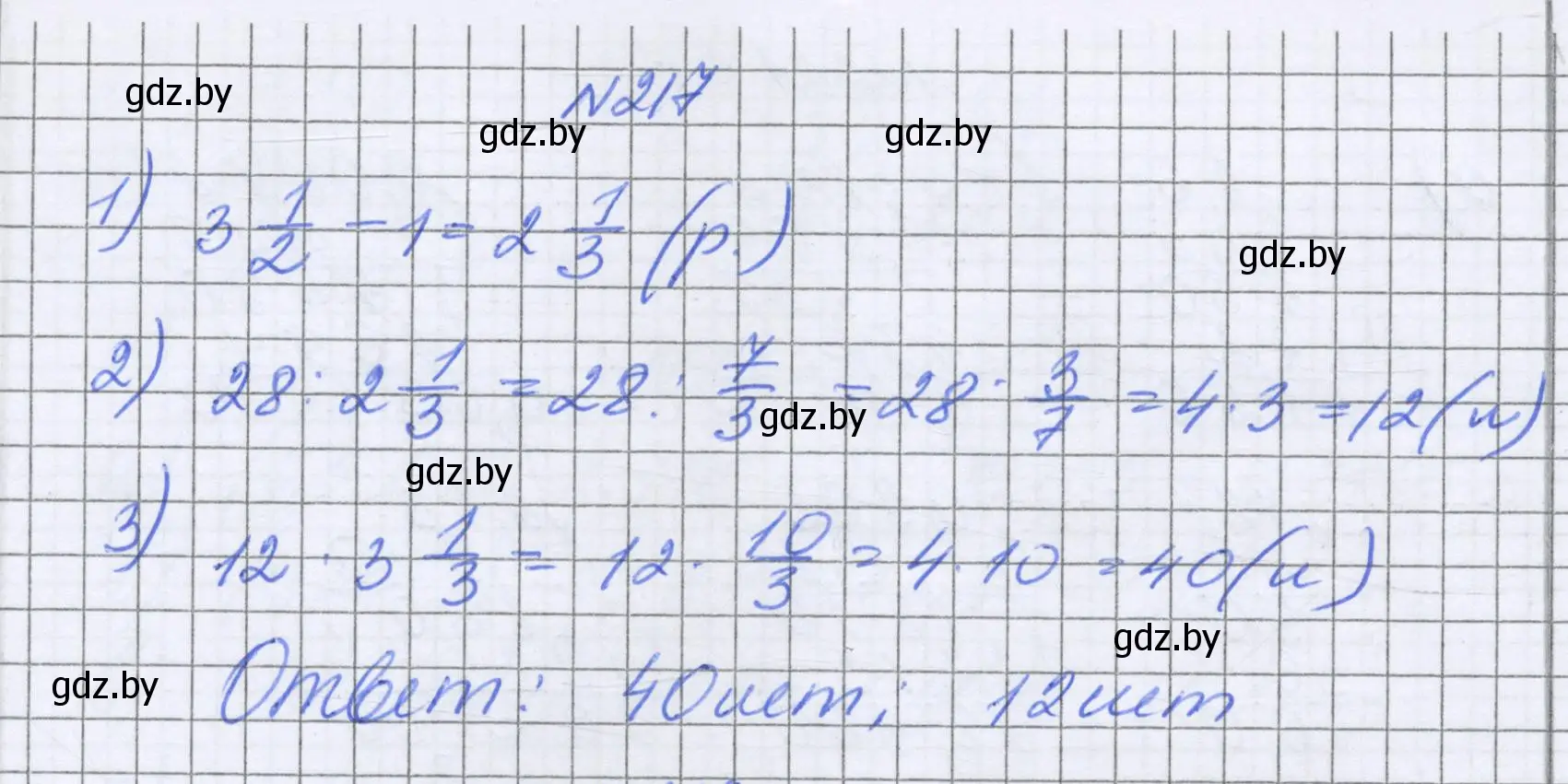 Решение номер 217 (страница 47) гдз по математике 6 класс Герасимов, Пирютко, учебник