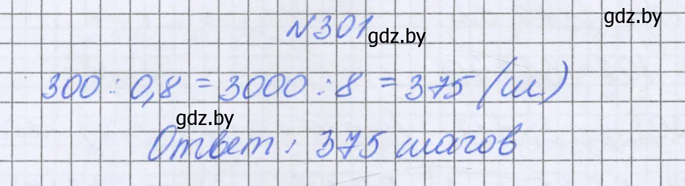 Решение номер 301 (страница 62) гдз по математике 6 класс Герасимов, Пирютко, учебник