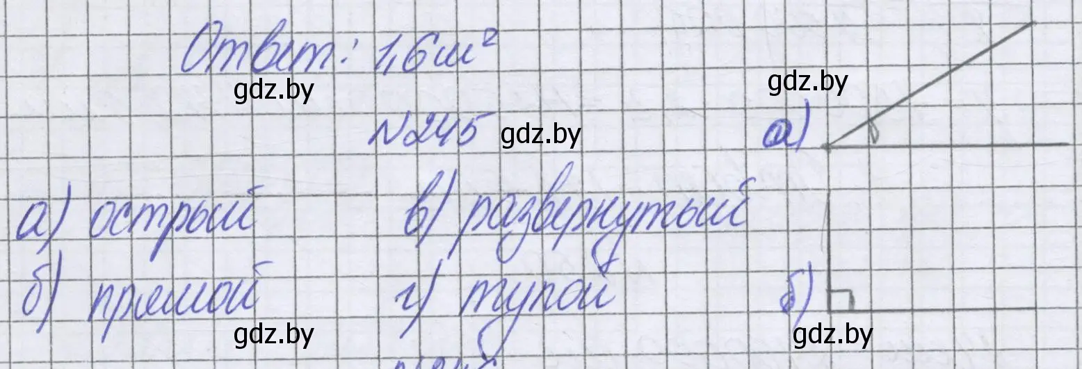 Решение номер 245 (страница 140) гдз по математике 6 класс Герасимов, Пирютко, учебник