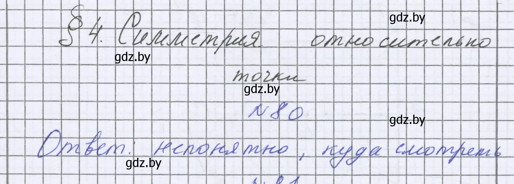 Решение номер 80 (страница 294) гдз по математике 6 класс Герасимов, Пирютко, учебник