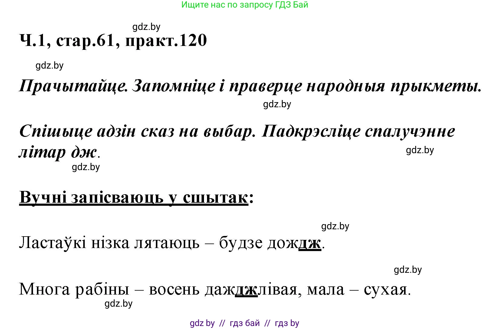 Белорусский язык (Беларуская мова), 2 класс Учебник, автор: Свірыдзенка Вольга Іванаўна, издательство Акадэмія адукацыі, Минск, 2025, голубого цвета, Частка 1, страница 61, номер 120, Решение