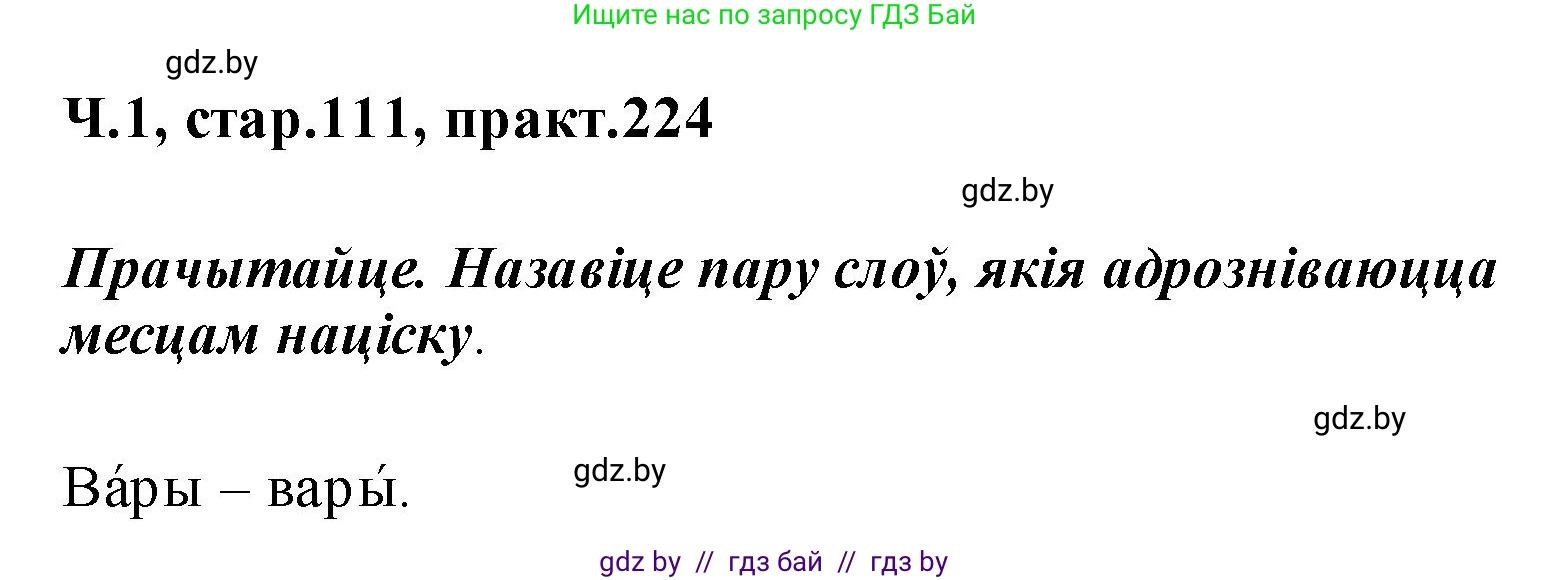 Белорусский язык (Беларуская мова), 2 класс Учебник, автор: Свірыдзенка Вольга Іванаўна, издательство Акадэмія адукацыі, Минск, 2025, голубого цвета, Частка 1, страница 111, номер 224, Решение