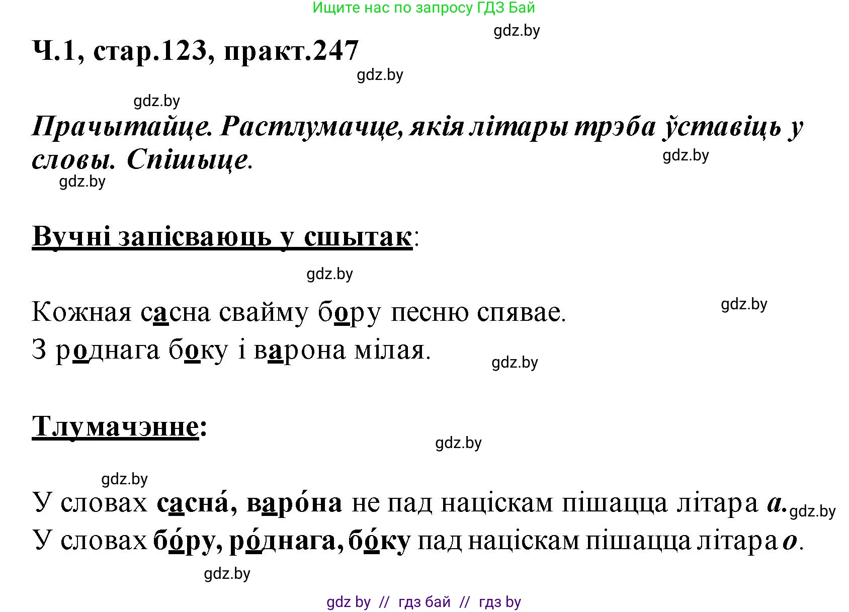 Белорусский язык (Беларуская мова), 2 класс Учебник, автор: Свірыдзенка Вольга Іванаўна, издательство Акадэмія адукацыі, Минск, 2025, голубого цвета, Частка 1, страница 123, номер 247, Решение