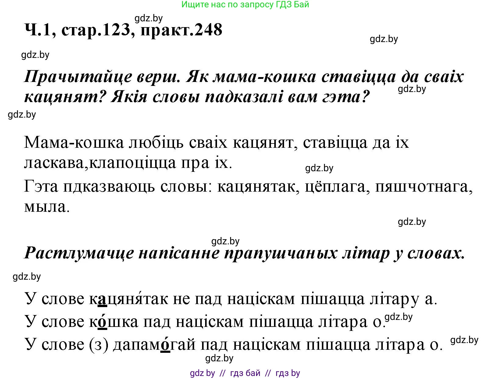 Белорусский язык (Беларуская мова), 2 класс Учебник, автор: Свірыдзенка Вольга Іванаўна, издательство Акадэмія адукацыі, Минск, 2025, голубого цвета, Частка 1, страница 123, номер 248, Решение